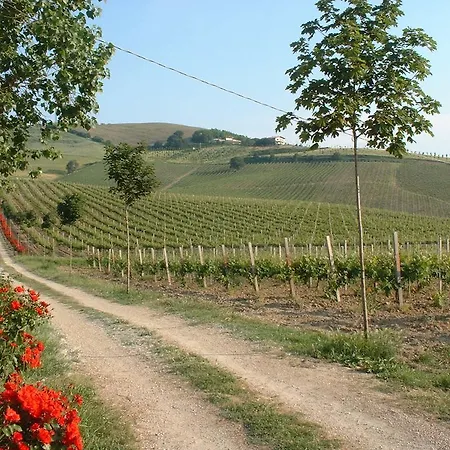 Agrimare Barba