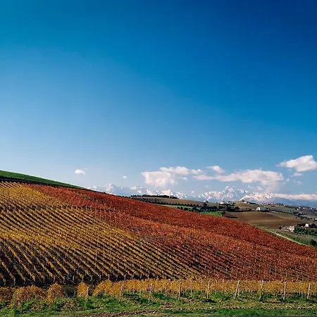 Alloggio per agriturismo Agrimare Barba Pineto