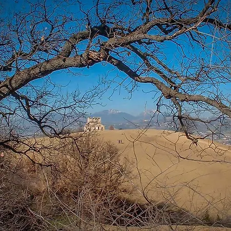 Agrimare Barba Pineto