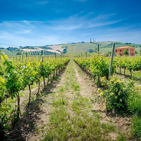Alloggio per agriturismo Agrimare Barba Pineto