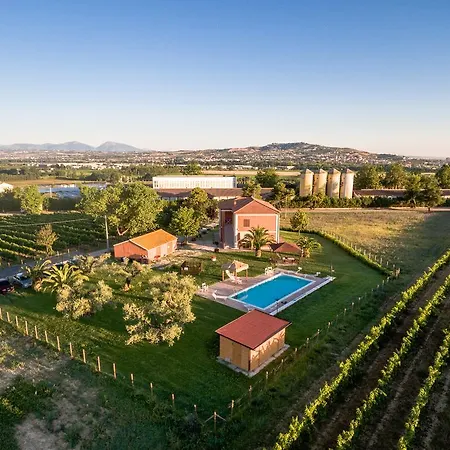 Agrimare Barba Pineto