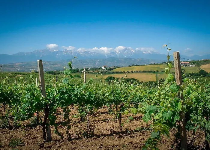 Agrimare Barba Pineto