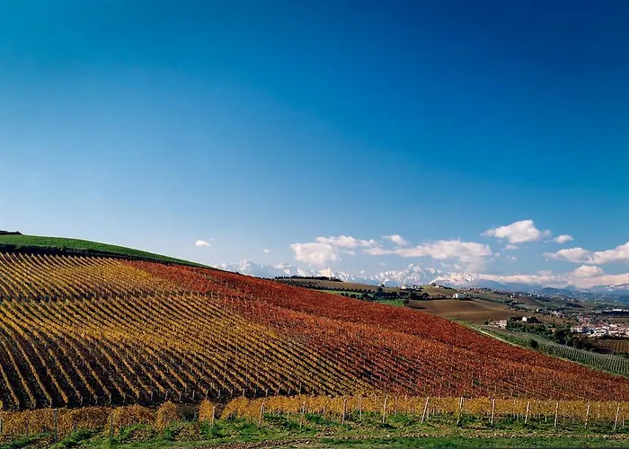 Farm stay Agrimare Barba Pineto