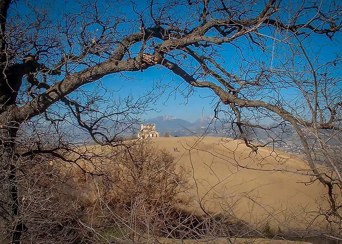 Agrimare Barba Pineto