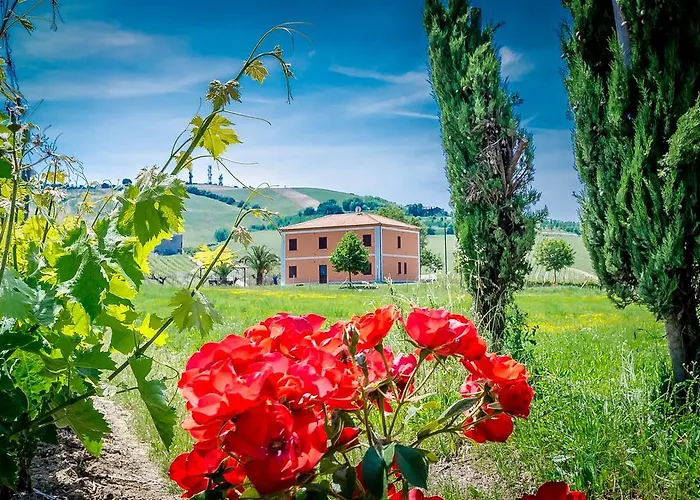 Farm stay Agrimare Barba *