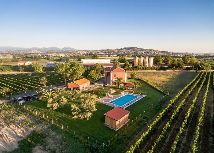 Agrimare Barba Pineto